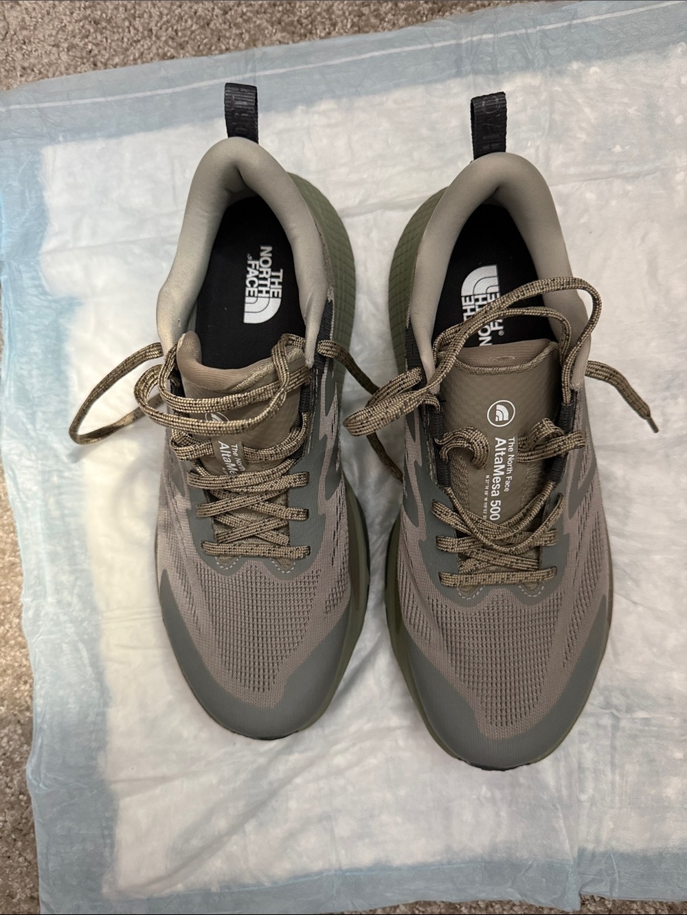 The North Face Men’s Altama 500 Sneakers — Olive/Taupe